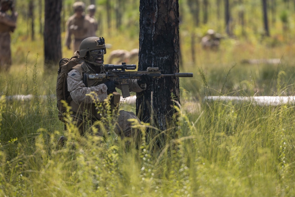 2d Battalion, 2d Marine Regiment Conducts Battalion Field Exercise