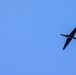 U-2 Dragon Lady flies over Beale AFB