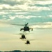 Wisconsin National Guard Black Hawks conduct August 2024 weekend training at Fort McCoy