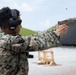 Okinawa Intermural Shooting Competition