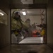 Joint simulated mass casualty demonstrates elite readiness