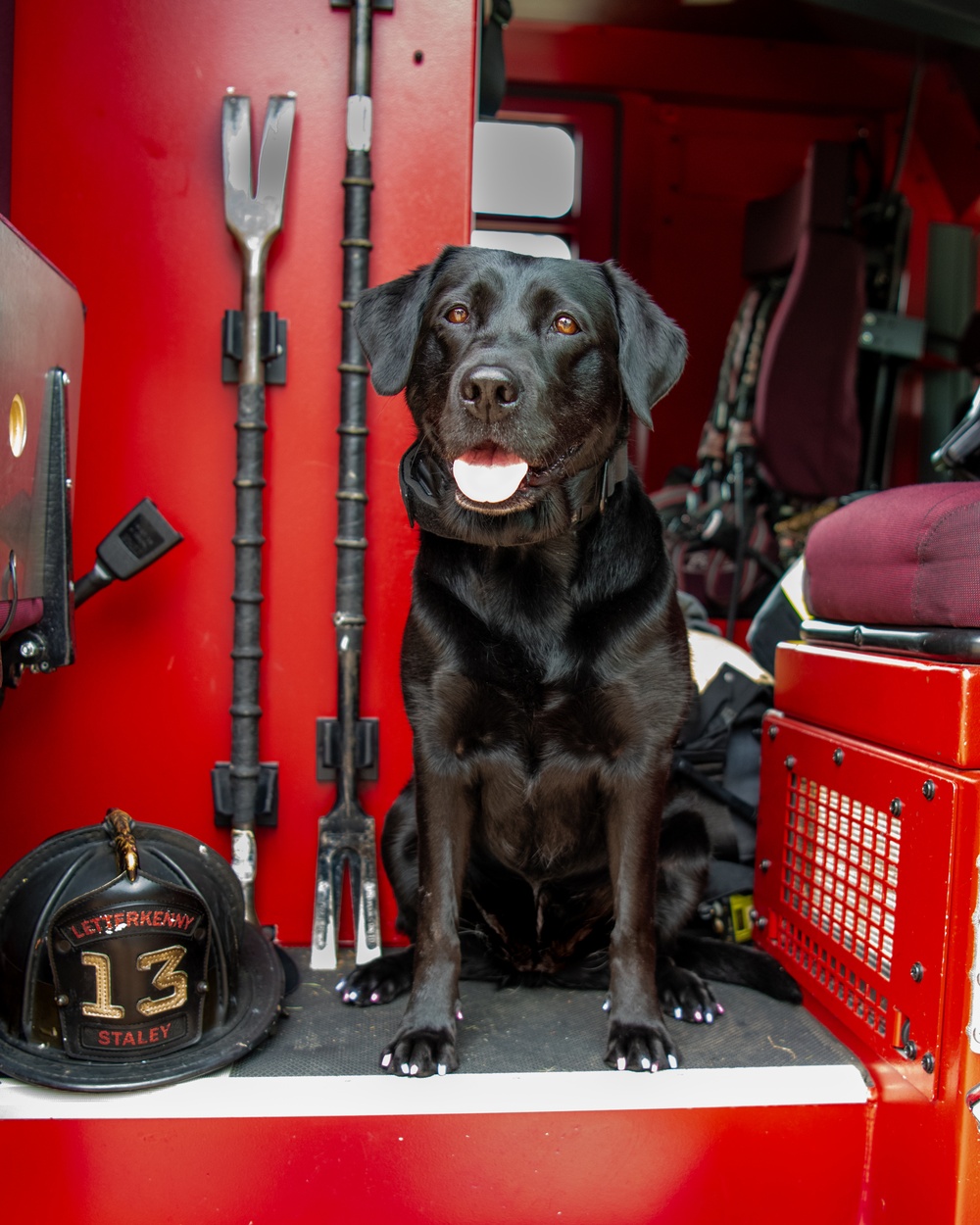 LEAD spotlights first DOD firefighter and service animal team at the depot