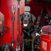 LEAD spotlights first DOD firefighter and service animal team at the depot