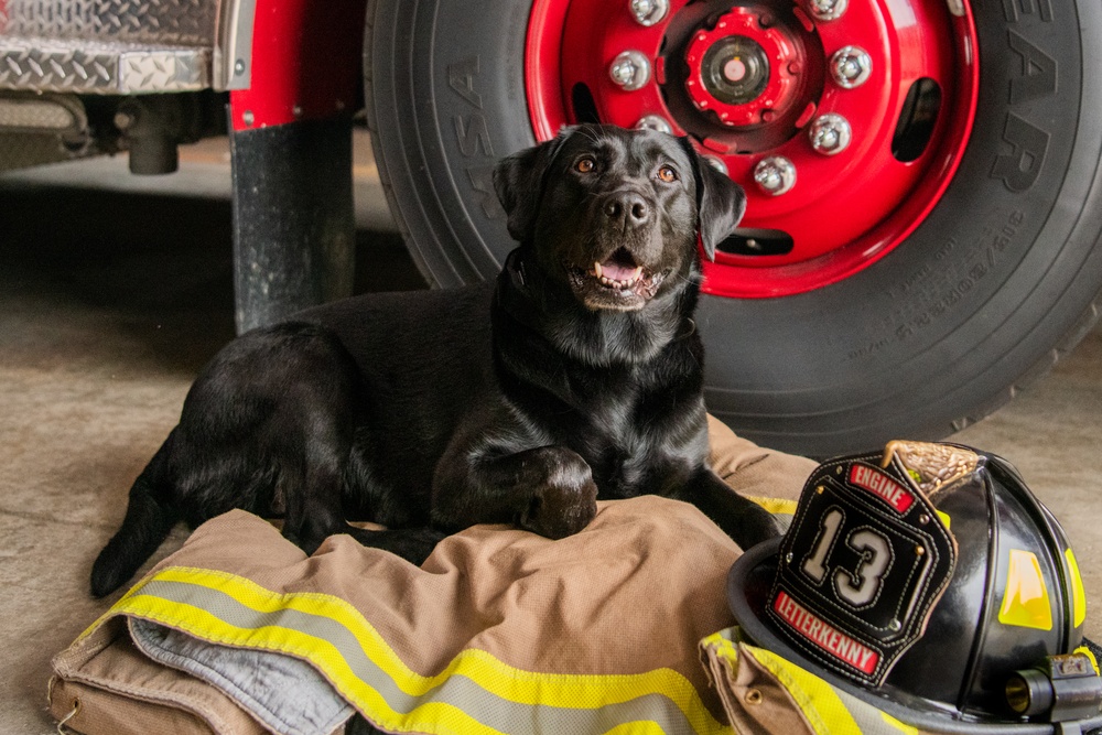 LEAD spotlights first DOD firefighter and service animal team at the depot