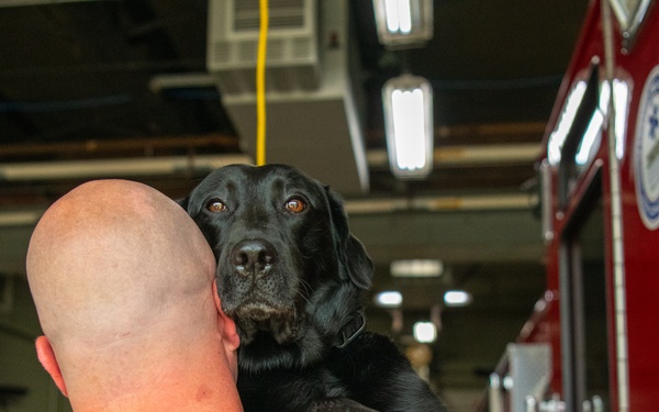 LEAD spotlights first DOD firefighter and service animal team at the depot