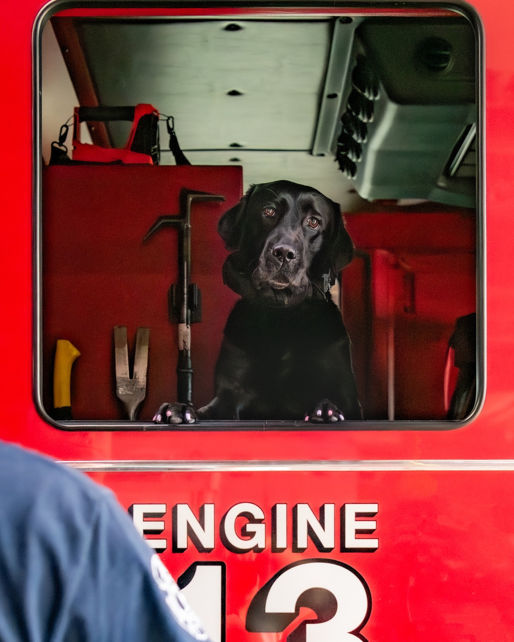 LEAD spotlights first DOD firefighter and service animal team at the depot