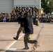Sheppard AFB: Combat Capability Demonstration