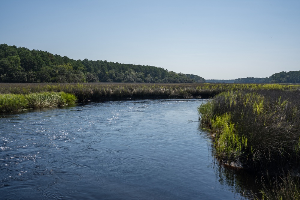 MCAS Beaufort protects Gregorie Neck land