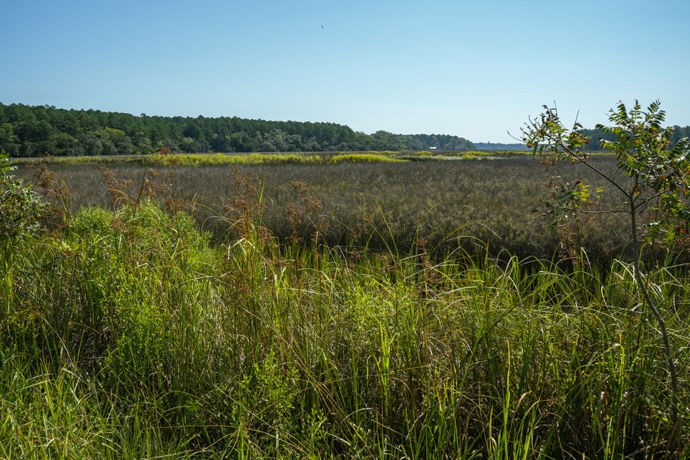 MCAS Beaufort protects Gregorie Neck land