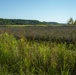 MCAS Beaufort protects Gregorie Neck land