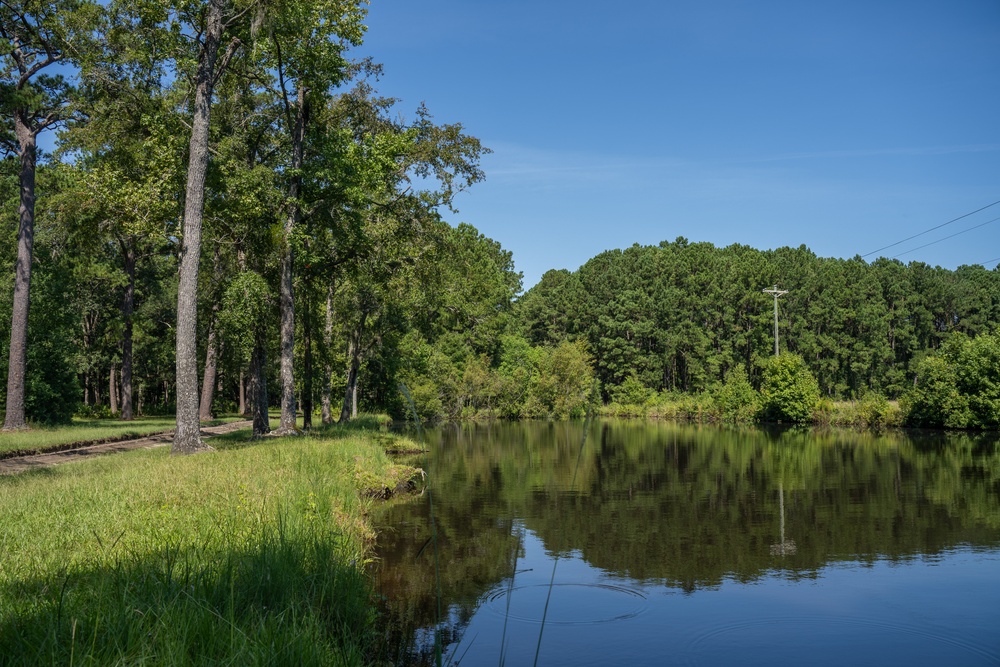 MCAS Beaufort protects Gregorie Neck land