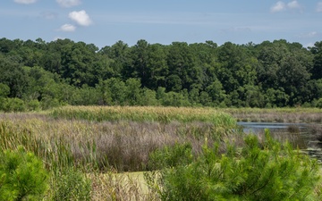 MCAS Beaufort protects Gregorie Neck land