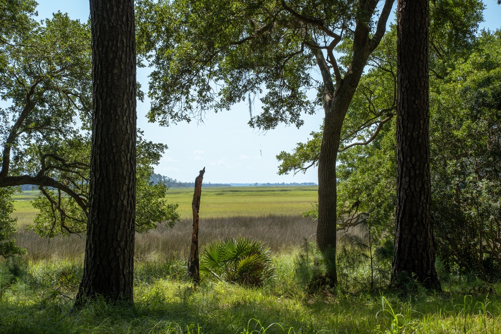 MCAS Beaufort protects Gregorie Neck land