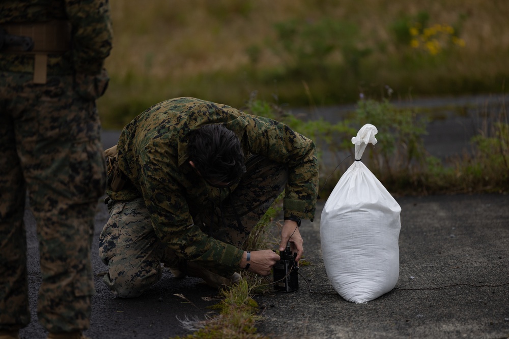 MWSS-271 EOD make craters with Icelandic coast guard during Exercise Northern Viking 24