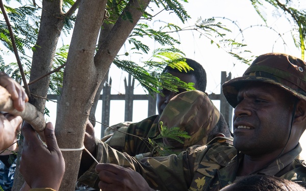 USAF provides PNGDF forces entomology expertise to battle mosquitos and infectious disease spread