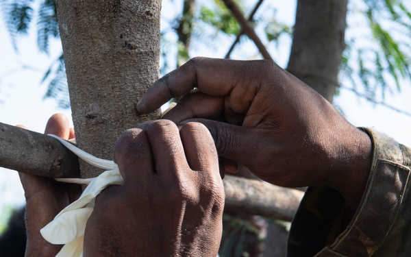 USAF provides PNGDF forces entomology expertise to battle mosquitos and infectious disease spread