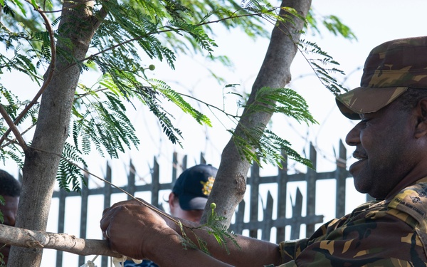 USAF provides PNGDF forces entomology expertise to battle mosquitos and infectious disease spread