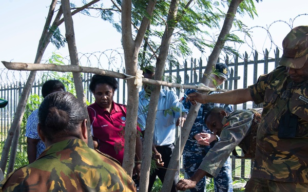 USAF provides PNGDF forces entomology expertise to battle mosquitos and infectious disease spread