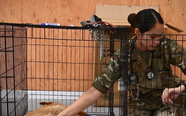 D.C. Army National Guard Medical Detachment, Fort Belknap Reservation, healthcare, Operation Walking Shield Innovative Readiness, veterinary care