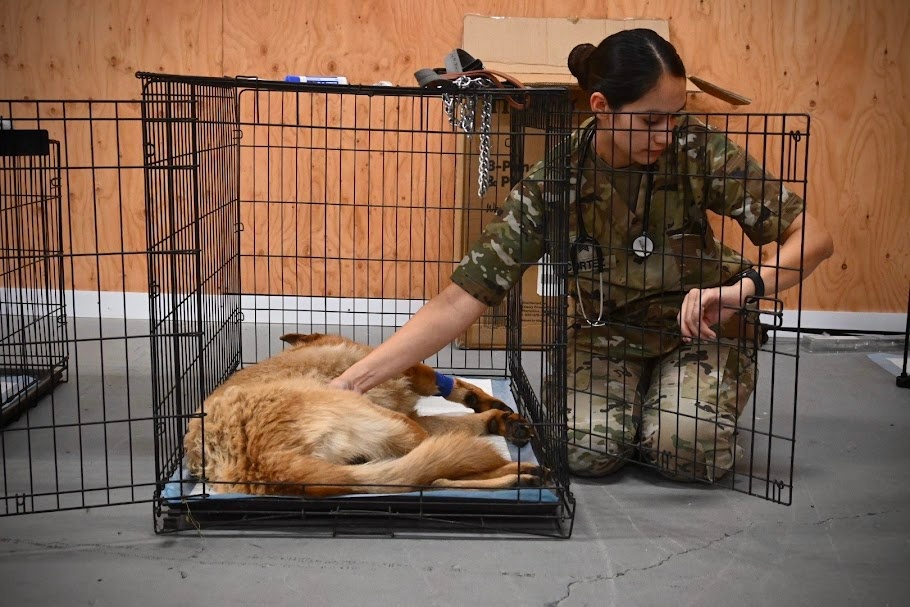 D.C. Army National Guard Medical Detachment, Fort Belknap Reservation, healthcare, Operation Walking Shield Innovative Readiness, veterinary care