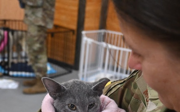 DCARNG Medical Detachment remove gaps in health, dental, and vet services in rural Montana