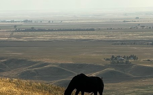 DCARNG Medical Detachment remove gaps in health, dental, and vet services in rural Montana