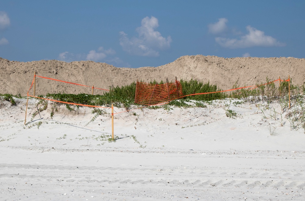 Dune Restoration Project Underway at Naval Station Mayport