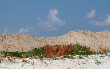 Dune Restoration Project Underway at Naval Station Mayport