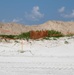 Dune Restoration Project Underway at Naval Station Mayport