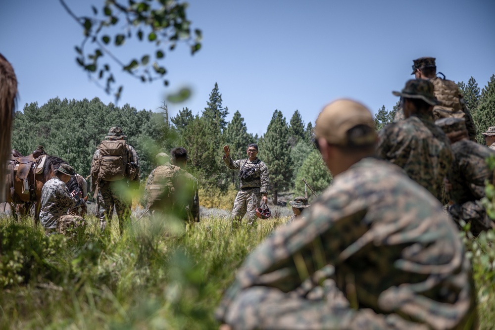 Marines with 2/1 hike with mules during Animal Packers Course 2-24
