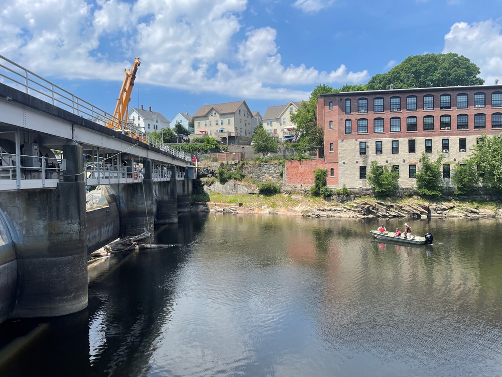 Tree debris removal at Woonsocket Dam