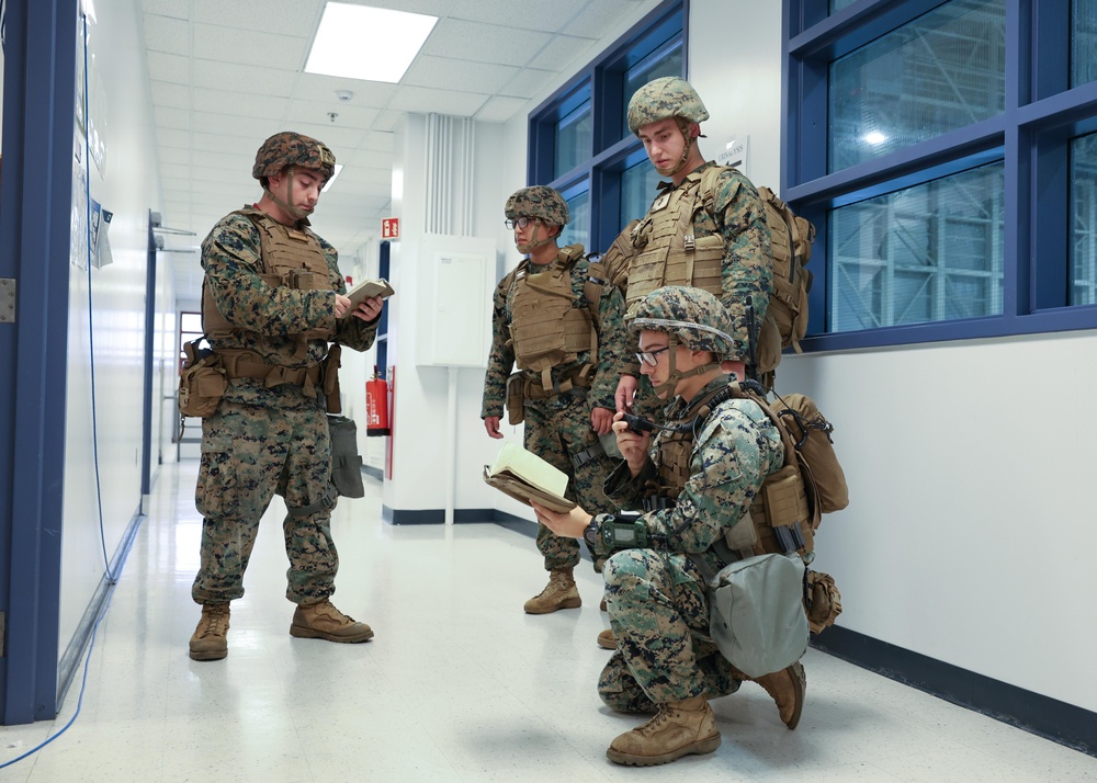 Northern Viking 2024