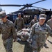 Texas Army National Guard and Chilean army medics train on MEDEVAC during  Southern Fenix 24 exercise