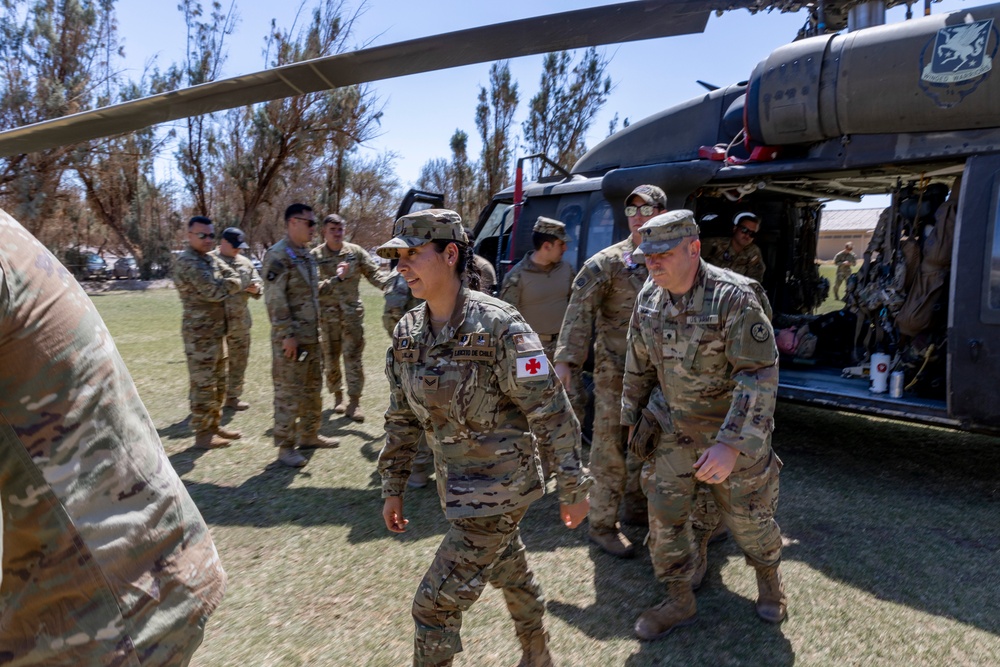 Texas Army National Guard and Chilean army medics train on MEDEVAC during  Southern Fenix 24 exercise