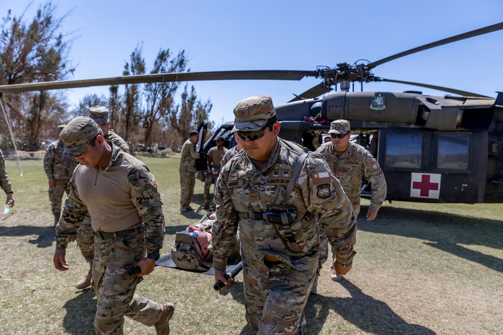 Texas Army National Guard and Chilean army medics train on MEDEVAC during  Southern Fenix 24 exercise