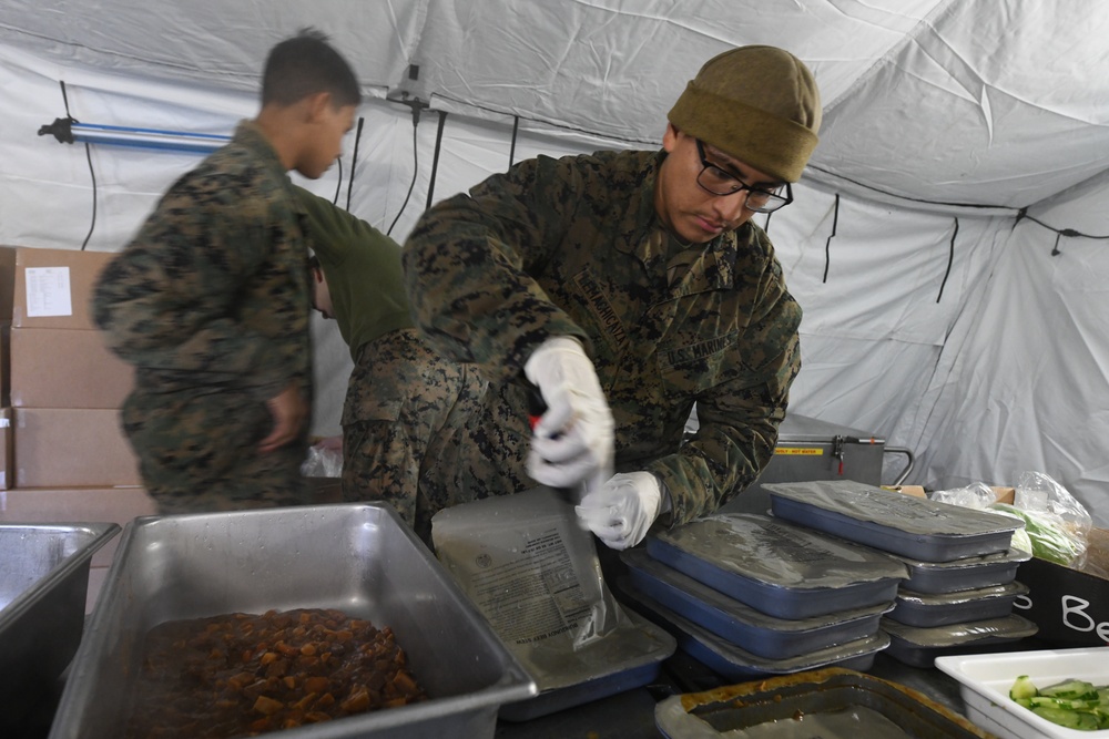 Meal Prep Northern Viking 24