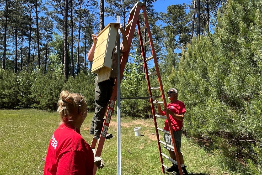 J. Strom Thurmond Lake Project installs homes for our furry flying friends