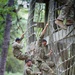 Army Reserve Best Squad Competition 2024 - Obstacle Course