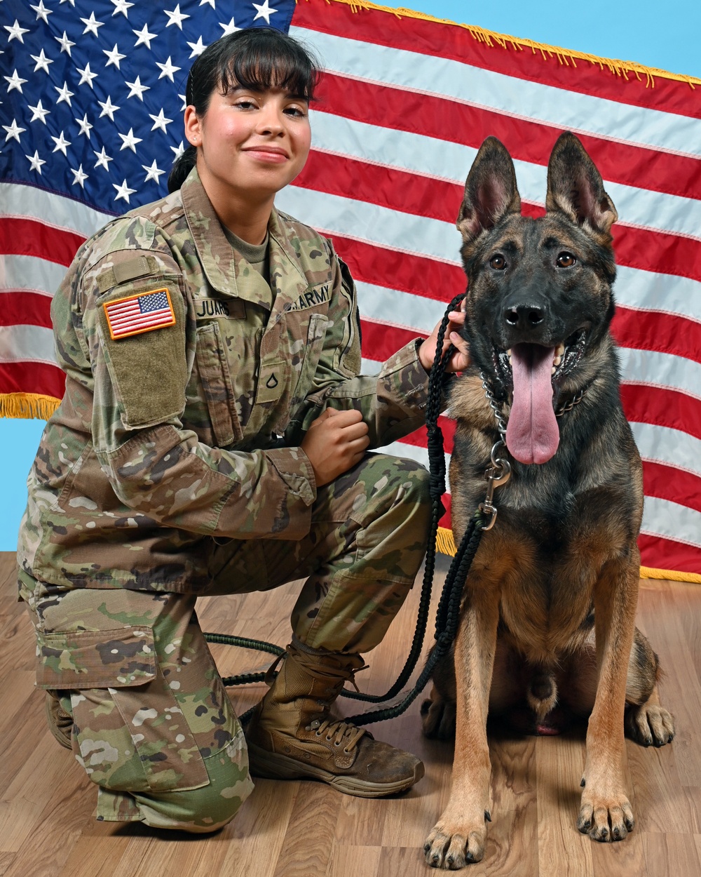 Military Working Dog