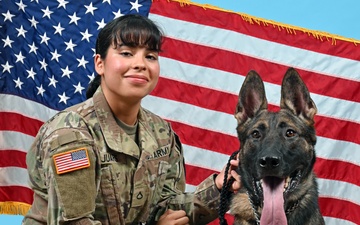 Military Working Dog