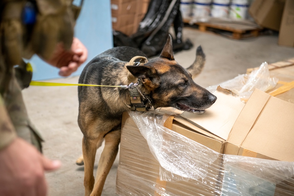 Air Force &amp; Navy MWDs Work Together