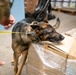 Air Force &amp; Navy MWDs Work Together