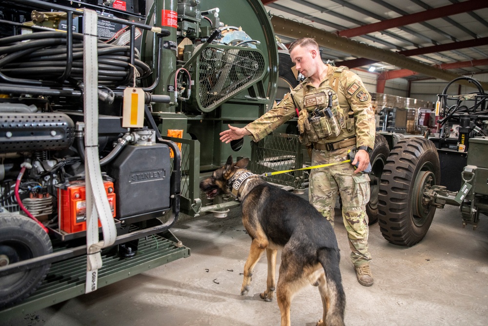 Air Force &amp; Navy MWDs Work Together