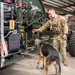 Air Force &amp; Navy MWDs Work Together