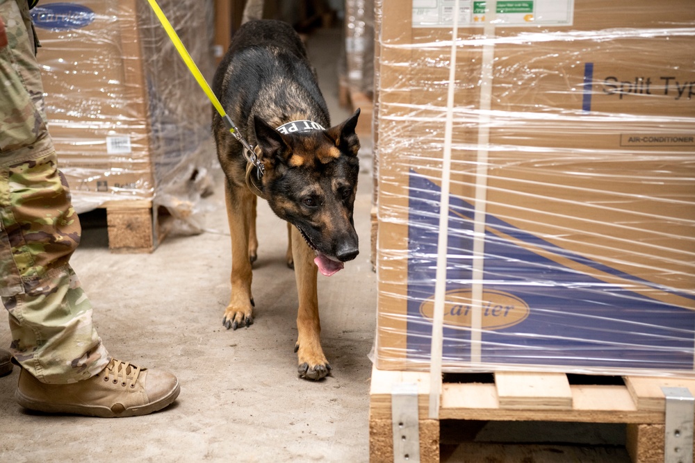 Air Force &amp; Navy MWDs Work Together