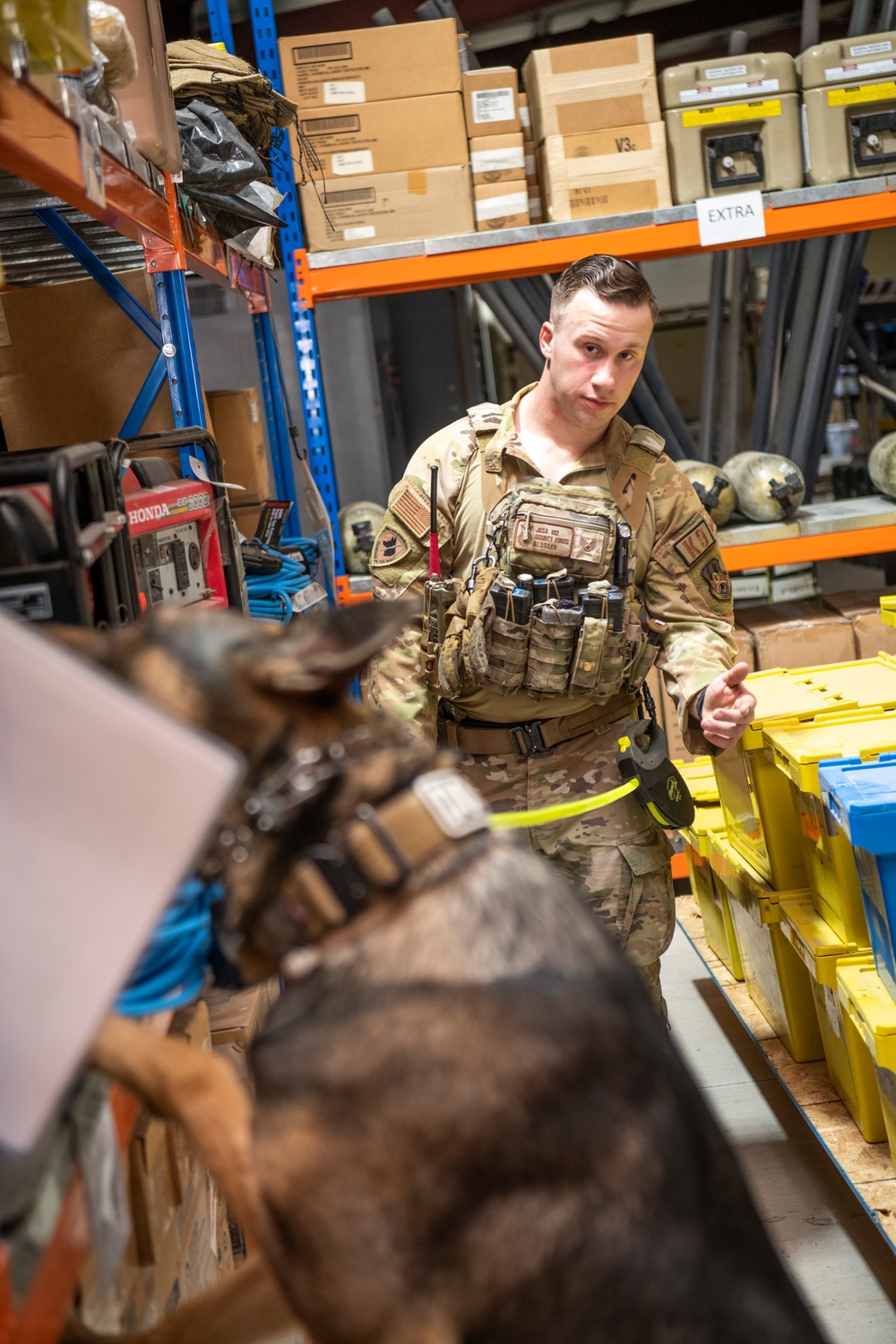 Air Force &amp; Navy MWDs Work Together