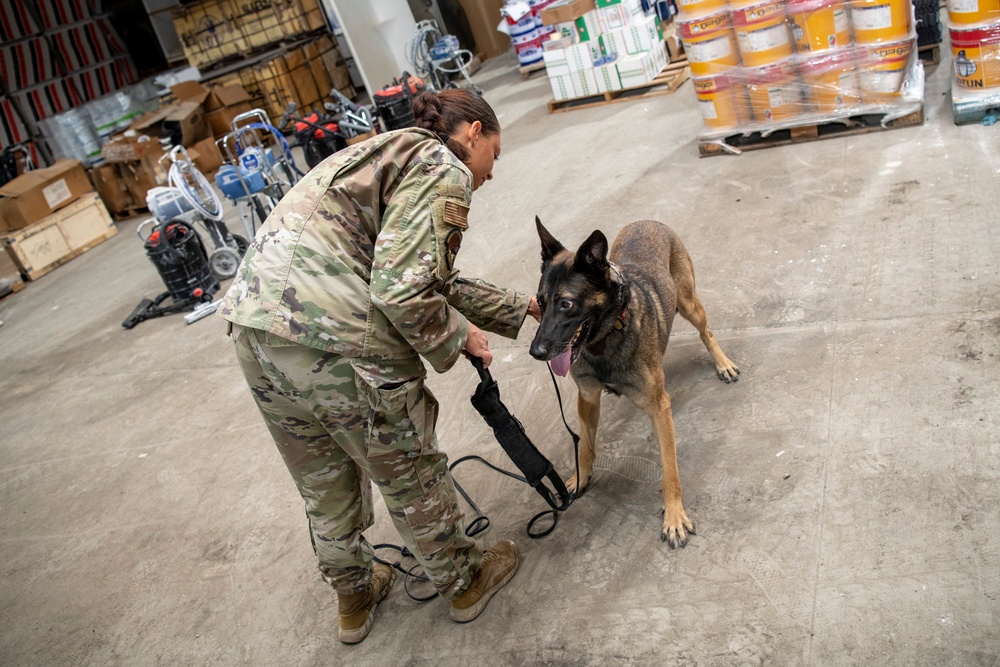 Air Force &amp; Navy MWDs Work Together