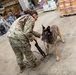 Air Force &amp; Navy MWDs Work Together