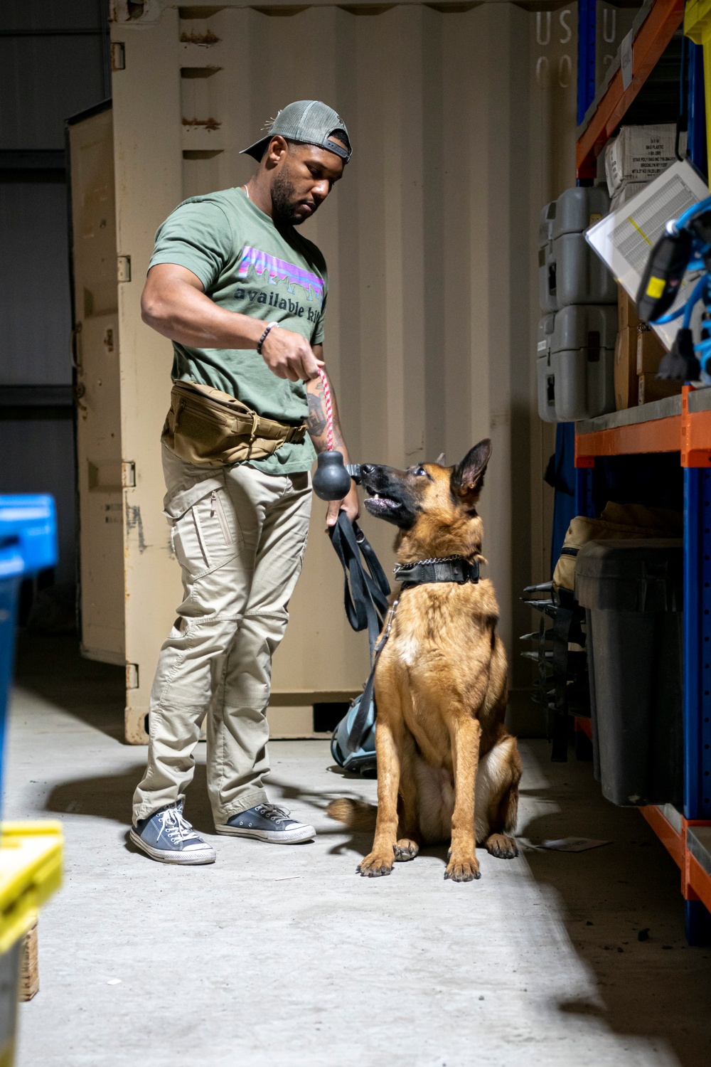 Air Force &amp; Navy MWDs Work Together