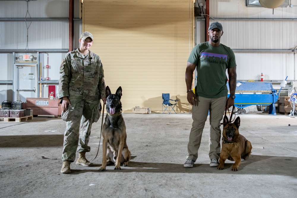 Air Force &amp; Navy MWDs Work Together